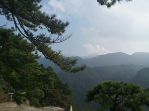 江西庐山风景名胜区，1996.12文化景观。庐山位于****大河长江中游南岸、****大淡水湖鄱阳湖滨，是座地垒式断块山。大山、大江、大湖浑然一体，险峻与柔丽相济，素以“雄、奇、险、秀”闻名于世。富有独特的庐山文化，具有重要的科学价值与美学价值。庐山风景名胜区面积302平方千米，外围保护地带500平方千米。庐山有独特的第四纪冰川遗迹，有河流、湖泊、坡地、山峰等多种地貌类型，有地质公园之称。