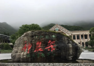 湖北神农架林区，2016年被列入世界自然遗产名录。这里有着太多的故事和传说，是披着神秘面纱的禁区，遍布原始森林、湖泊、奇峰、异石......令人神往。