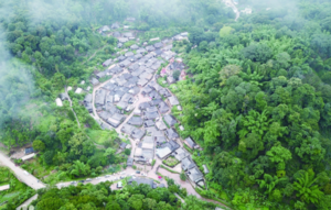 普洱景迈山古茶林文化景观
